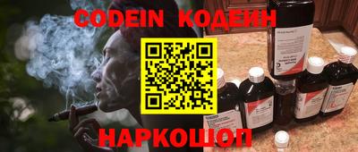 амф Камышлов
